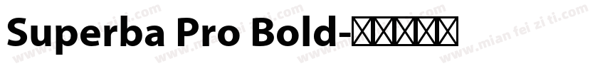 Superba Pro Bold字体转换